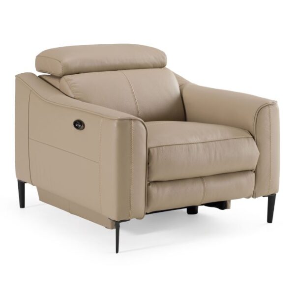 Modern Recliner