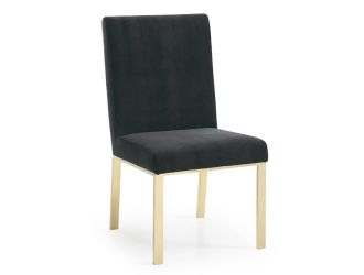 Reba Modern Dining Chair (Set of 2)