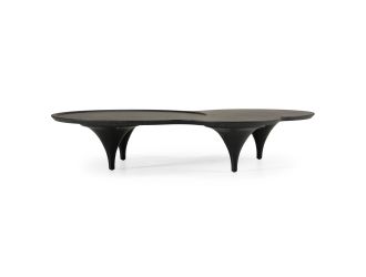 Beulah - Modern Free Form Coffee Table