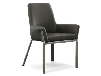Robin Modern Dining Chair