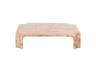 Nouveau Nasrin - Modern Burl Square Coffee Table