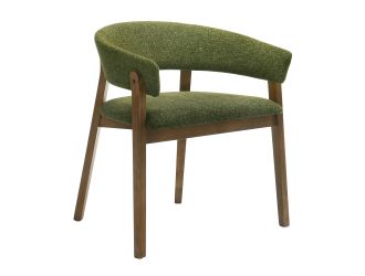 Nouveau Ike - Mid-Century Modern Green Fabric + Walnut Dining Chair (Set of 2)