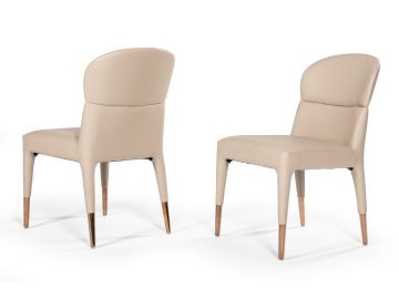 Ogden Modern Beige & Rosegold Dining Chair (Set of 2)