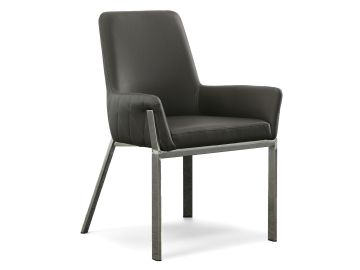 Robin Modern Dining Chair