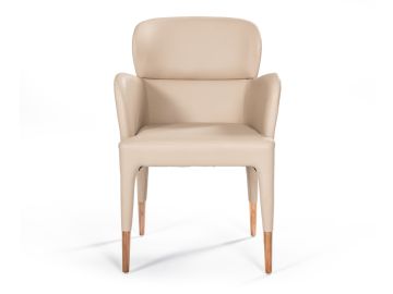 Ogden Modern Dining Armchair