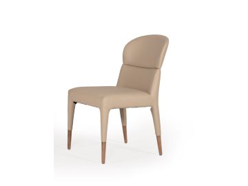 Ogden Modern Beige & Rosegold Dining Chair (Set of 2)
