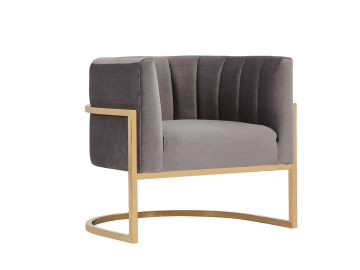 Landau Modern Grey Velvet & Gold Accent Chair