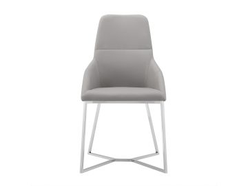 Stark - Modern Grey Dining Chair (Set of 2)
