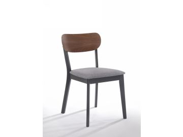 Lillian - Modern Grey Dining Chair (Set of 2)