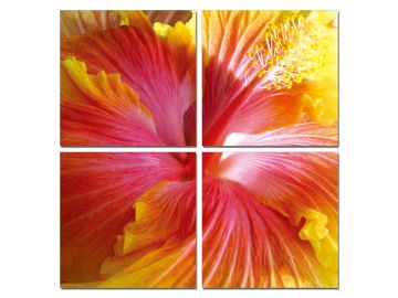 Hibiscus 4-Panel Photo on Canvas