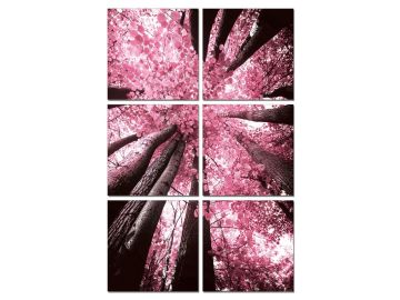 Blossom Trees 6-Panel Photo on Canvas