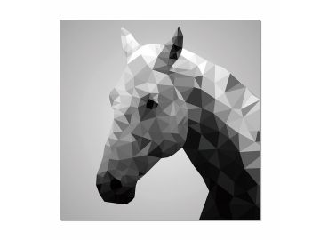 Modrest Horse Photo On Canvas