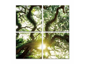 Modrest Shine 4-Panel Photo On Canvas