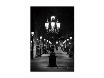 Modrest Night Light Photo On Canvas