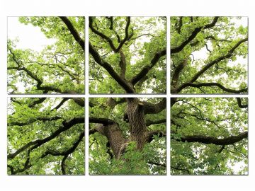Modrest Tree Of Life 6-Panel Photo On Canvas