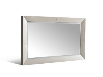 Glam Modern Champagne Crocodile Mirror
