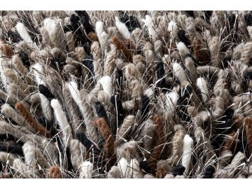 Betona Grey Wool Shag Rug