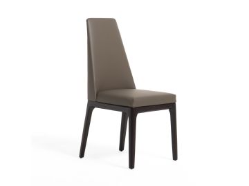 Encino - Modern Taupe & Timber Chocolate Dining Chair (Set of 2)