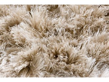 Maltino Natural Shag Rug