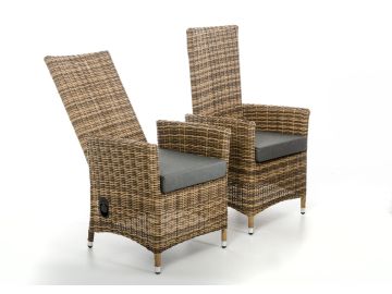 Parrot Modern Outdoor Dining Set