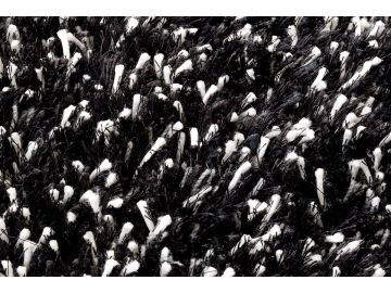 Ronaldo Black Wool Shag Rug