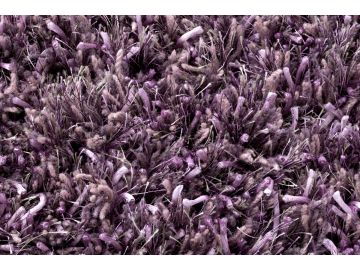 Ronaldo Lavender Wool Shag Rug