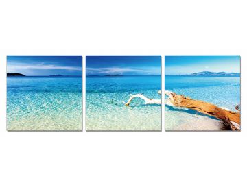 Driftwood 3-Panel Photo