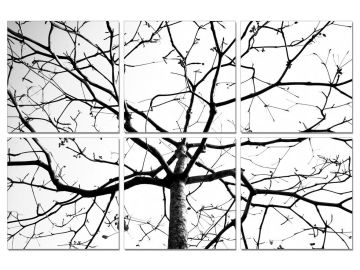 Winter Branches 6-Panel Photo on Canvas