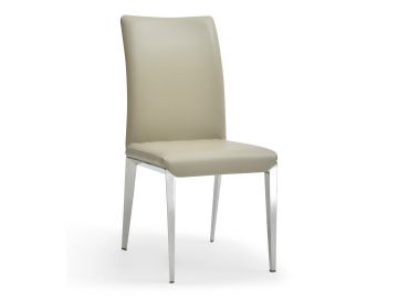 Taryn - Modern Light Grey + Stainless Steel Dining Chair (Set of 2)