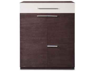 X505 Modern Brown Oak and Gray Gloss Chest