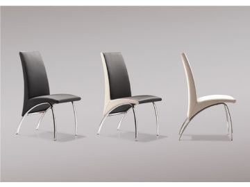 Y01 Modern Black Dining Chair