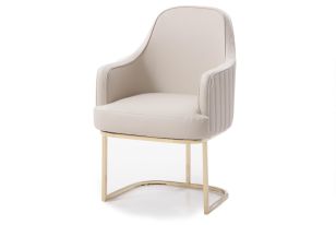 Modrest Tyler - Modern Grey + Gold Dining Chair