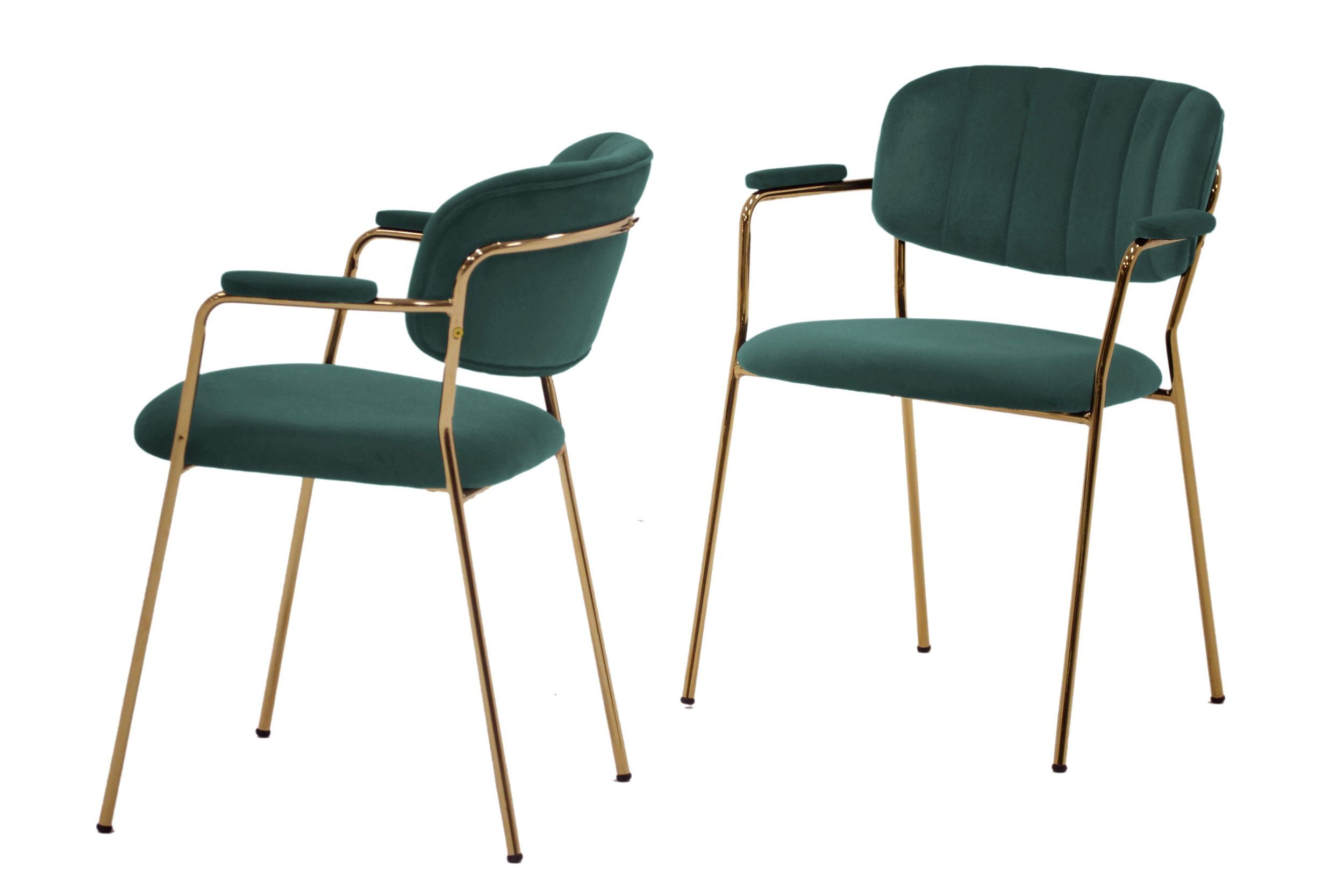 Modrest Clyde Modern Green Dining Chair (Set of 2)