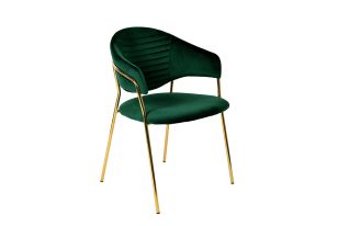Modrest Trevor Modern Green Velvet & Gold Dining Chair (Set of 2)