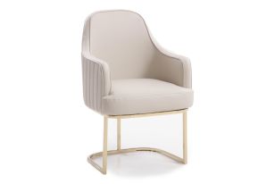 Tyler - Modern Grey + Gold Dining Chair