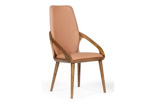 Valier - Modern Dining Chair (Set of 2)
