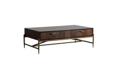 Shane - Modern Acacia & Brass Coffee Table