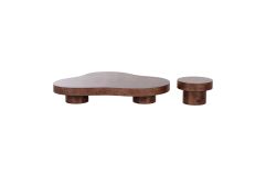 Nouveau Larch - Modern Dark Burl Nesting Table Set