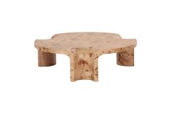 Nouveau Nasrin - Modern Burl Round Coffee Table