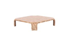 Nouveau Nasrin - Modern Burl Square Coffee Table