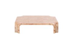 Nouveau Nasrin - Modern Burl Square Coffee Table