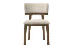 Nouveau Winston - Mid-Century Modern Dining Chair (Set of 2)