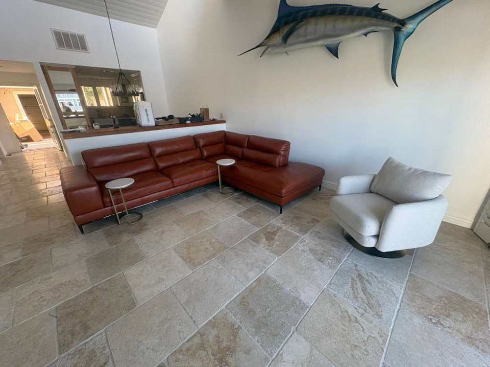 contemporary couches